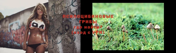 альфа пвп Новокубанск