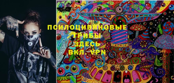 экстази Новодвинск