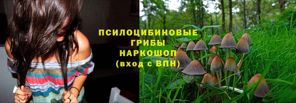 альфа пвп Новокубанск