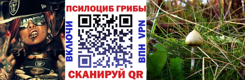 Псилоцибиновые грибы мицелий  Урус-Мартан 