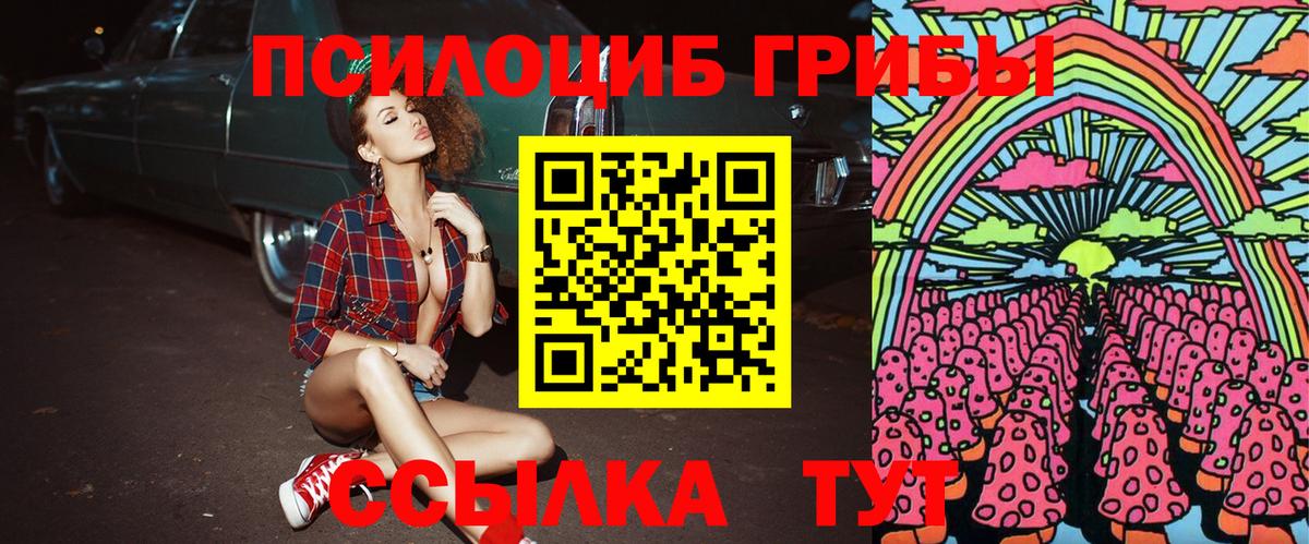 Галлюциногенные грибы прущие грибы Урус-Мартан