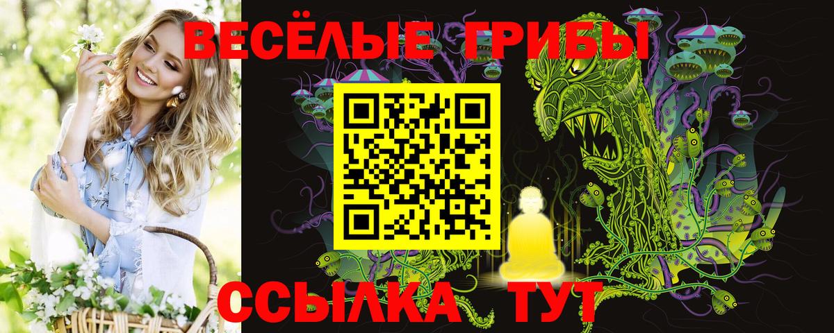купить  цена  Вход с VPN  Урус-Мартан  Псилоцибиновые грибы MAGIC MUSHROOMS 